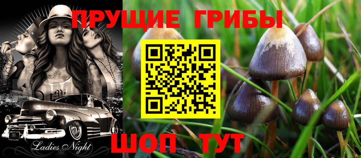 Псилоцибиновые грибы мухоморы Урюпинск